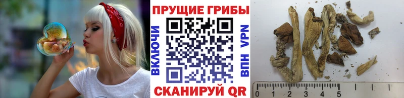 Купить закладки  Мантурово  Псилоцибиновые грибы мухоморы 